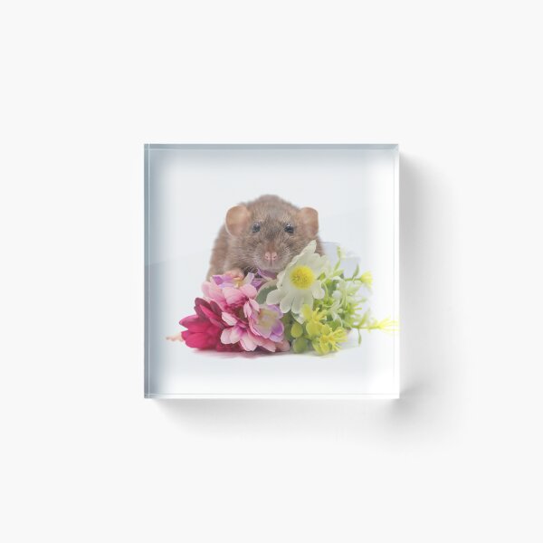 Item preview, Floral dumbo rat designed and sold by tinypawsart.