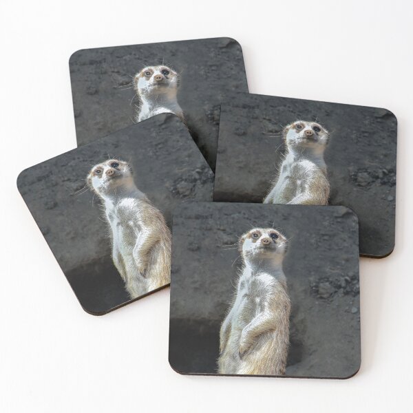 Item preview, "Who are You?"   designed and sold by heatherfriedman.