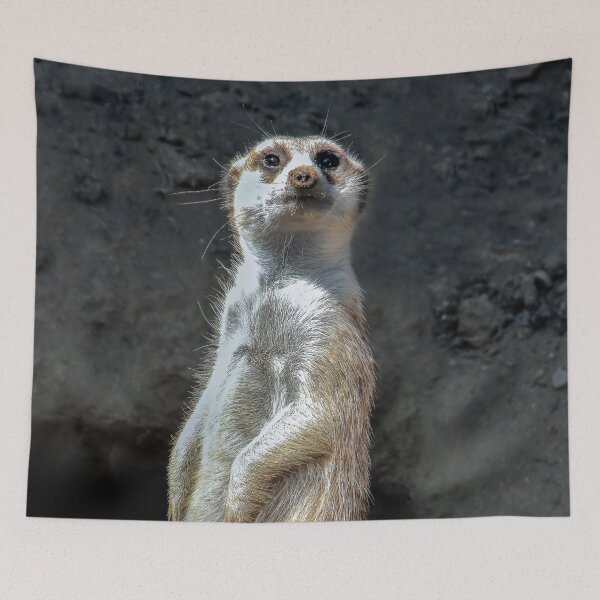 Item preview, "Who are You?"   designed and sold by heatherfriedman.