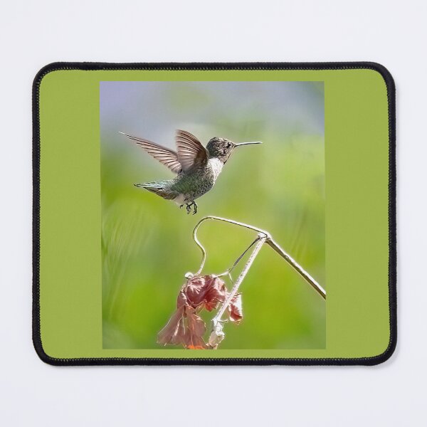 Item preview, Hummer About To Land on a Leaf designed and sold by CarolM.