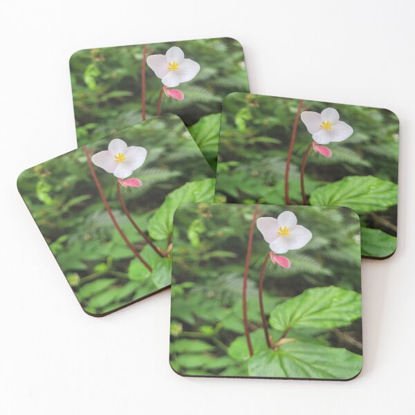Item preview, Poet's Heart Begonia from El Yunque Rainforest designed and sold by Aqualyn.