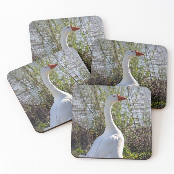 Item preview, Where is Everyone? designed and sold by heatherfriedman.