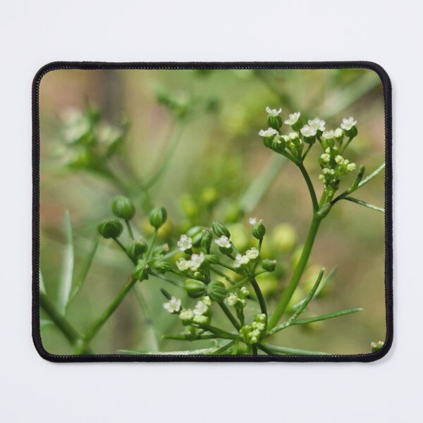 Item preview, Marsh Parsley designed and sold by Aqualyn.