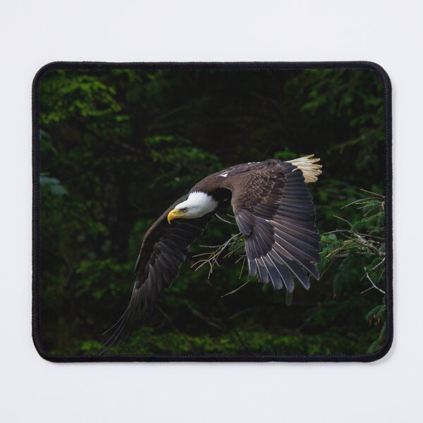 Item preview, Hunting designed and sold by Jordan Blackstone.