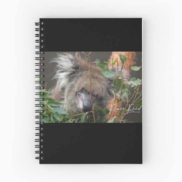 Item preview, OLD KOALA  designed and sold by RREID84.