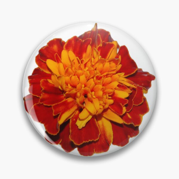 Item preview, Marigolds  designed and sold by Lauracolleen3.