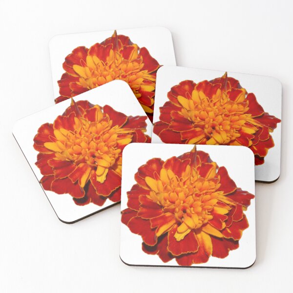 Item preview, Marigolds  designed and sold by Lauracolleen3.