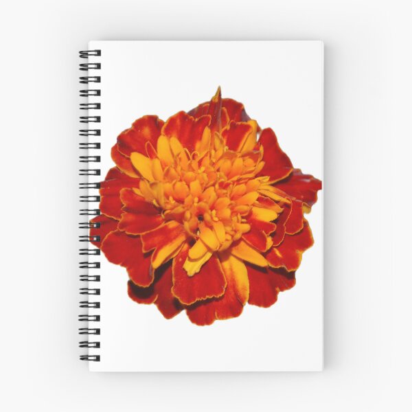 Item preview, Marigolds  designed and sold by Lauracolleen3.