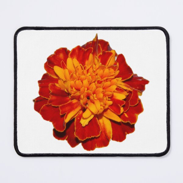 Item preview, Marigolds designed and sold by Lauracolleen3.