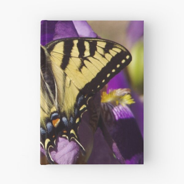 Item preview, Yellow Swallowtail on a Bearded Iris  designed and sold by MAINE IMAGESDEZIGNS.