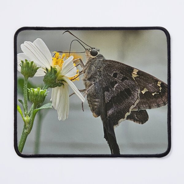 Item preview, Middle Child in the Wild designed and sold by Aqualyn.