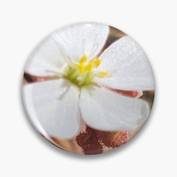 Item preview, Dwarf Sundew Flower Bloom designed and sold by Aqualyn.
