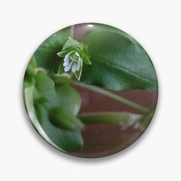 Item preview, Somehow the Chickweed is Sad designed and sold by Aqualyn.