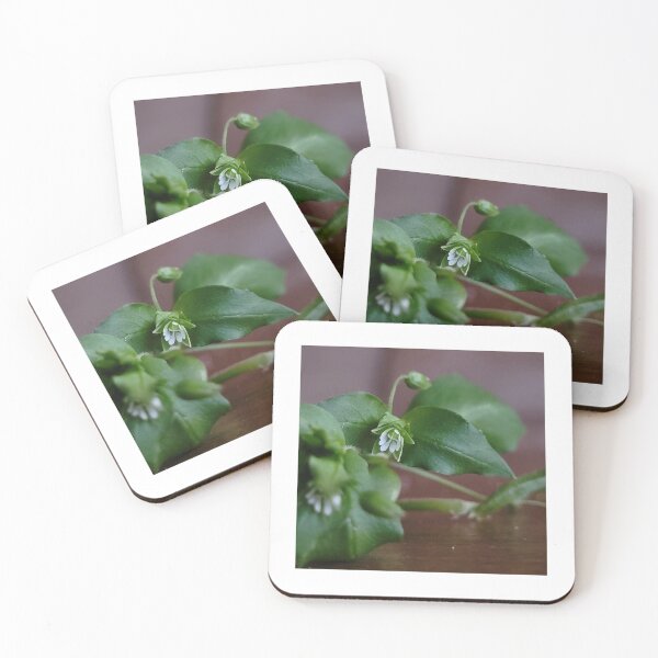 Item preview, Somehow the Chickweed is Sad designed and sold by Aqualyn.
