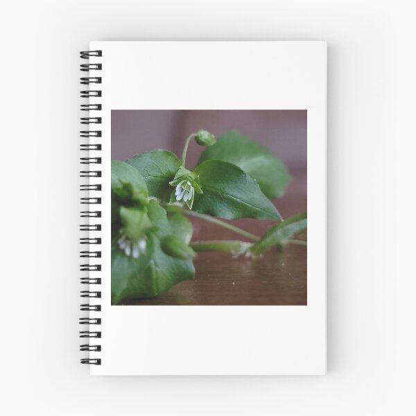 Item preview, Somehow the Chickweed is Sad designed and sold by Aqualyn.