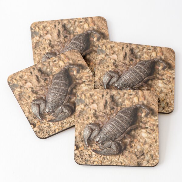 Item preview, Dwarf Forest Scorpion designed and sold by robdanimalphotography.