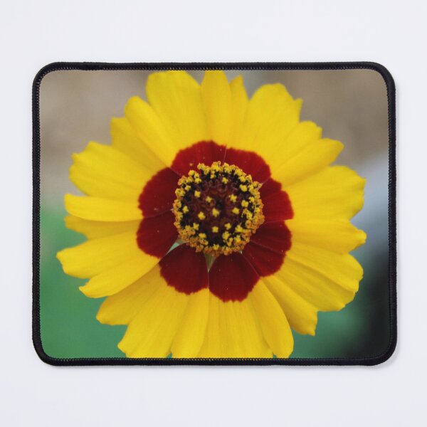 Item preview, Yellow wildflower designed and sold by Jmb67.