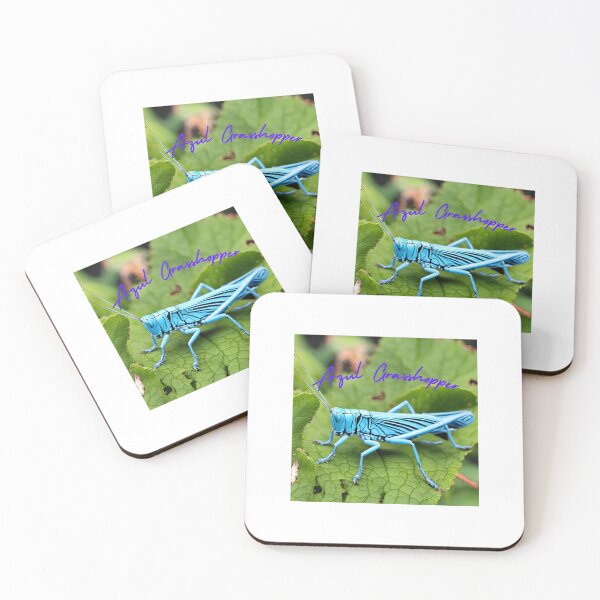 Item preview, Azul Grasshopper designed and sold by Cariselle CozyCorner.