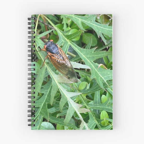 Item preview, cicada on japanese maple designed and sold by kugeleh.