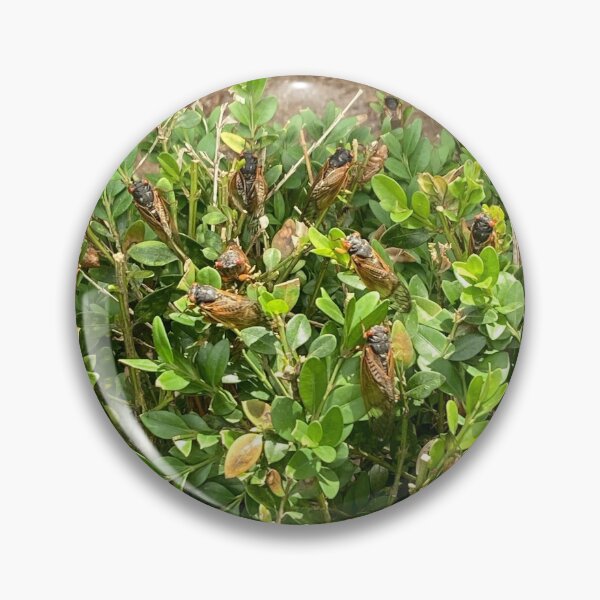 Item preview, a cicada bush  designed and sold by kugeleh.