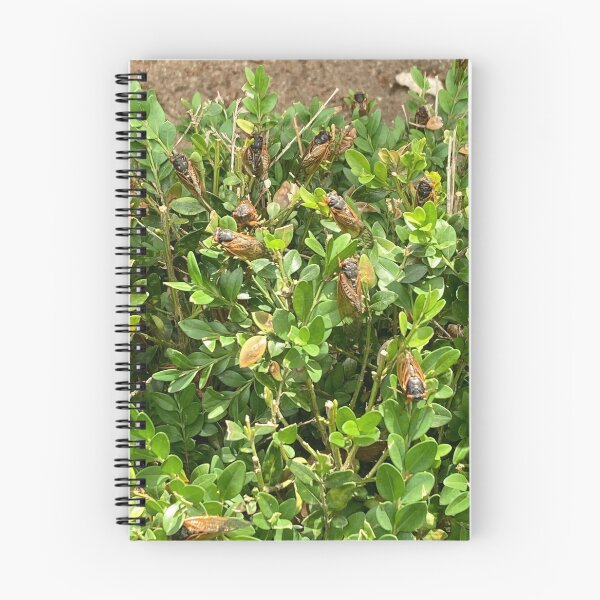 Item preview, a cicada bush  designed and sold by kugeleh.