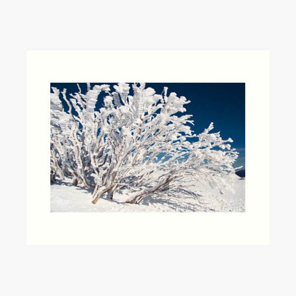 Item preview, Mt Hotham designed and sold by Roger Barnes.