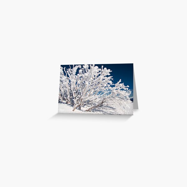 Item preview, Mt Hotham designed and sold by Roger Barnes.