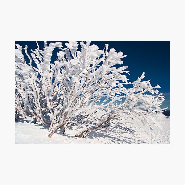 Item preview, Mt Hotham designed and sold by Roger Barnes.