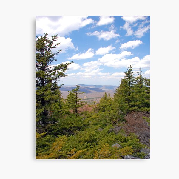 Spruce Knob Canvas Print