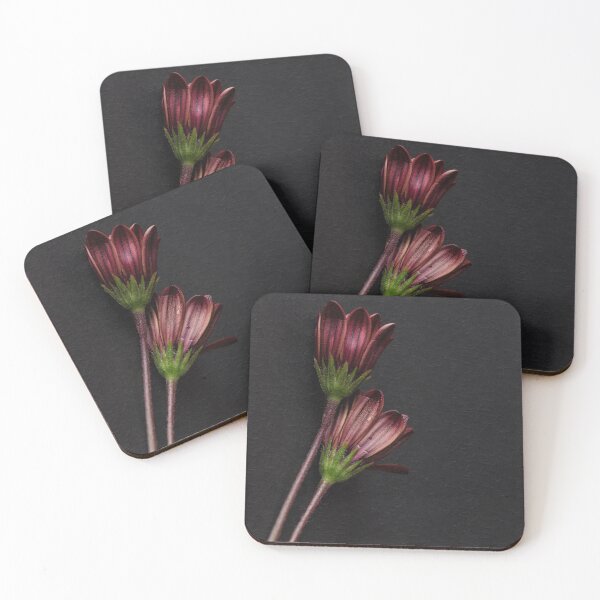Item preview, African Daisy designed and sold by Dreamscape Eclectic .