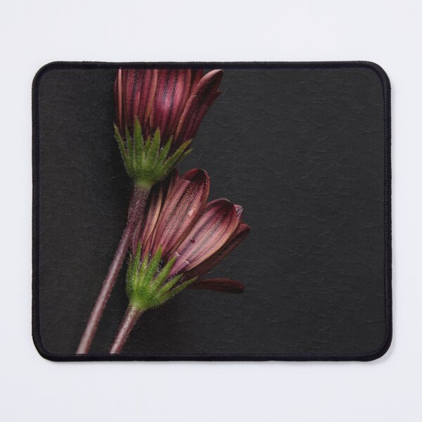 Item preview, African Daisy designed and sold by Dreamscape Eclectic .