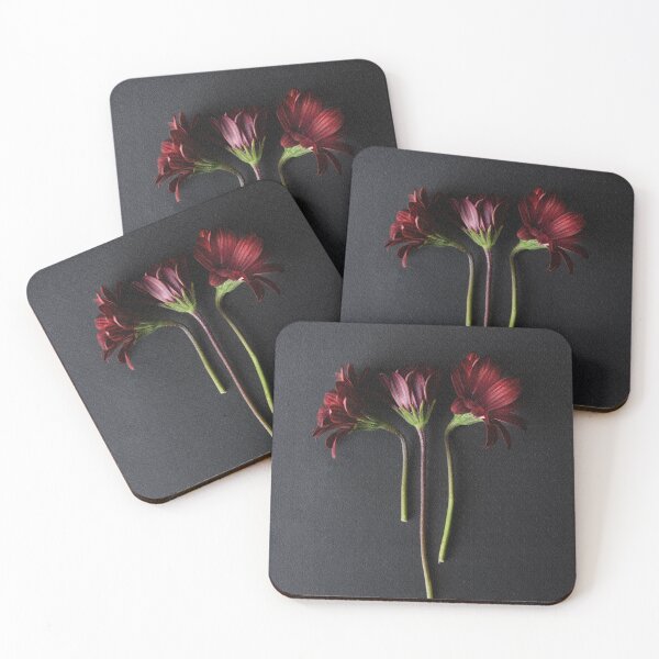 Item preview,  African Daisy designed and sold by Dreamscape Eclectic .