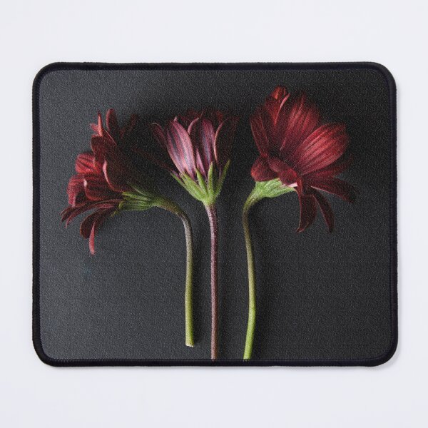 Item preview,  African Daisy designed and sold by Dreamscape Eclectic .