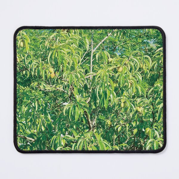 Item preview, Green Tree leaves designed and sold by Full-of-Light.