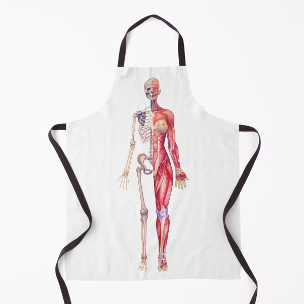 Item preview, Female human anatomy designed and sold by Ekaterina Glazkova.
