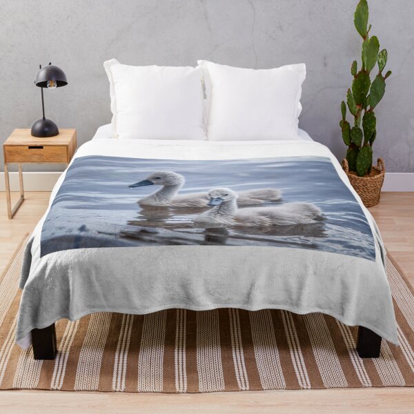 Item preview, Baby swans on the lake. 1 designed and sold by Dzianis Sharametsyeu.