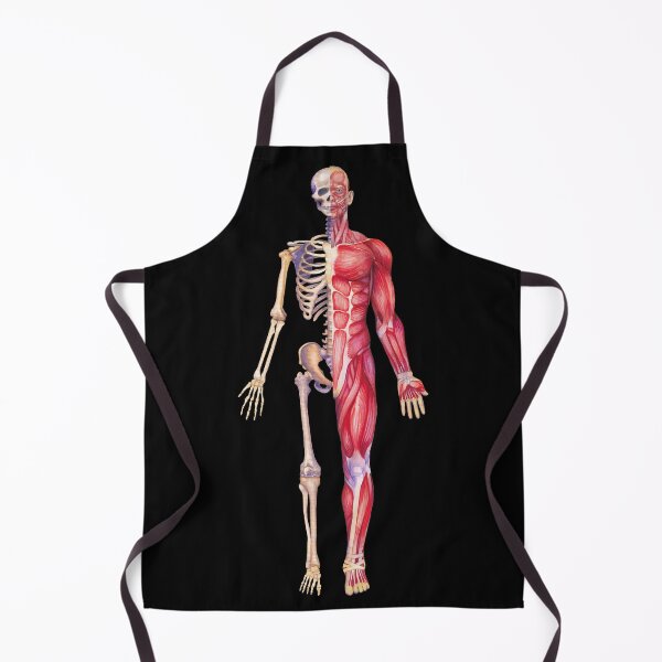Item preview, Male human anatomy designed and sold by Ekaterina Glazkova.