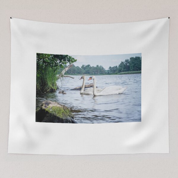 Item preview, Wild swans on the lake. 2 designed and sold by Dzianis Sharametsyeu.