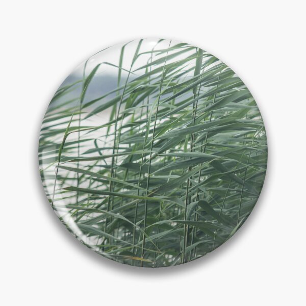 Item preview, Nature of the Vileika Reservoir. Belarus. 2 designed and sold by Dzianis Sharametsyeu.