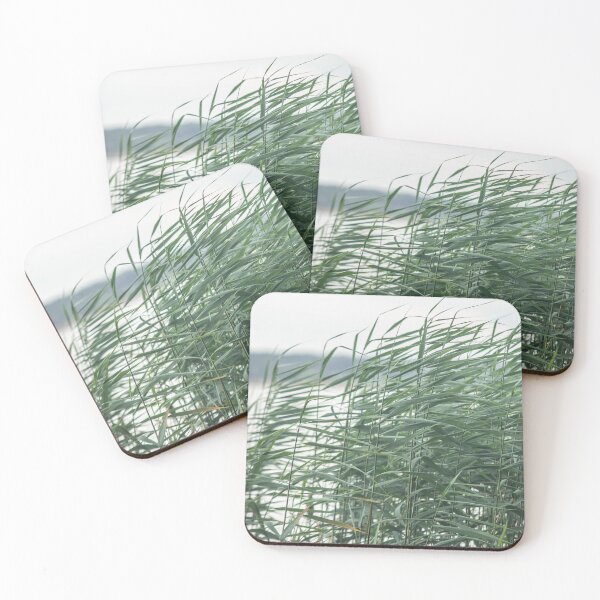 Item preview, Nature of the Vileika Reservoir. Belarus. 2 designed and sold by Dzianis Sharametsyeu.