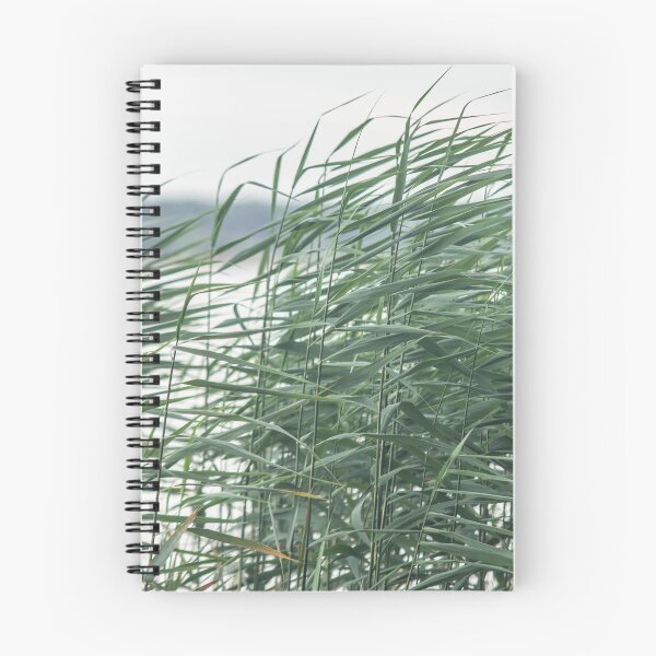 Item preview, Nature of the Vileika Reservoir. Belarus. 2 designed and sold by Dzianis Sharametsyeu.
