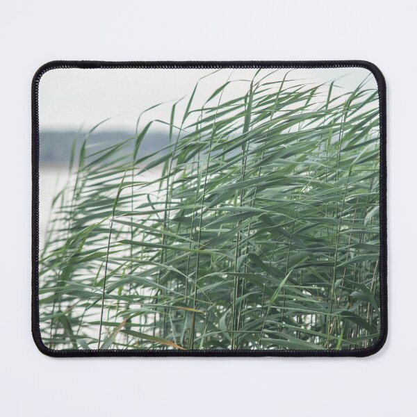 Item preview, Nature of the Vileika Reservoir. Belarus. 2 designed and sold by Dzianis Sharametsyeu.