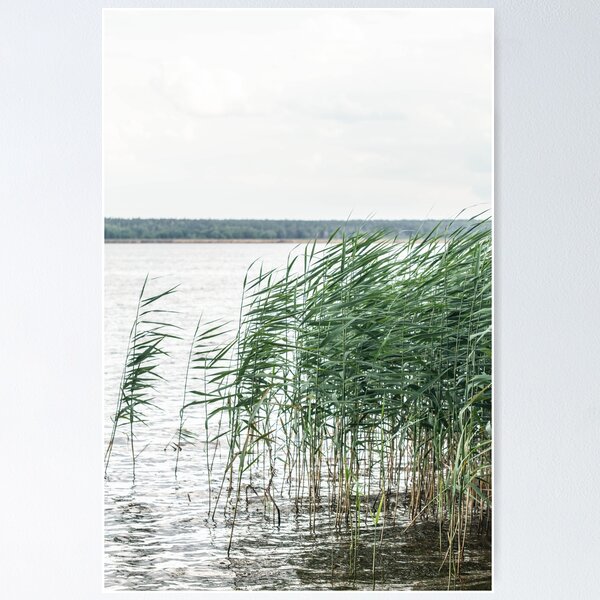 Item preview, Nature of the Vileika Reservoir. Belarus. 3 designed and sold by Dzianis Sharametsyeu.