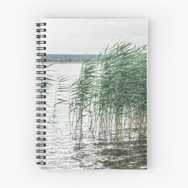 Item preview, Nature of the Vileika Reservoir. Belarus. 1 designed and sold by Dzianis Sharametsyeu.