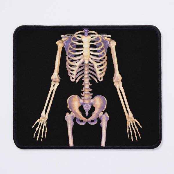 Item preview, Male skeleton designed and sold by Ekaterina Glazkova.