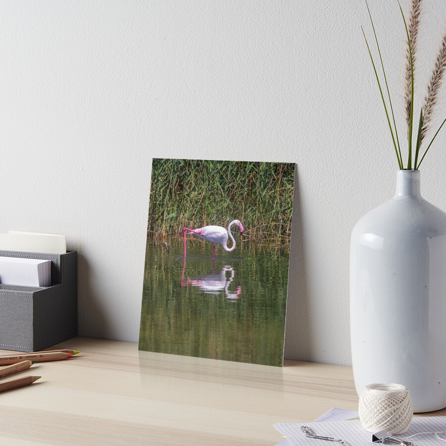 Item preview, Art Board Print designed and sold by RalphGoldsmith.