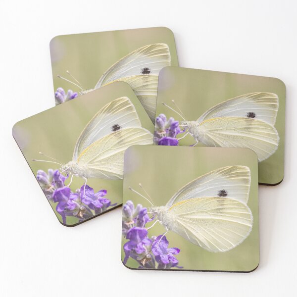 Item preview, Cabbage white butterfly designed and sold by StohlerPhotos.