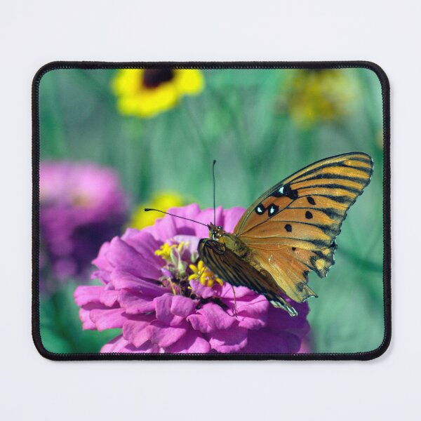 Item preview, Gulf Fritilarry Butterfly and Zinnia designed and sold by MercerImages.