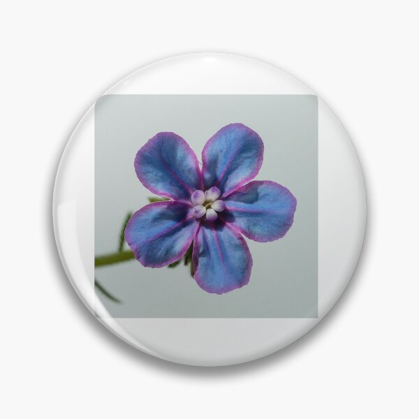 Item preview, Flower Buglossoides incrassata designed and sold by CozyPixels.
