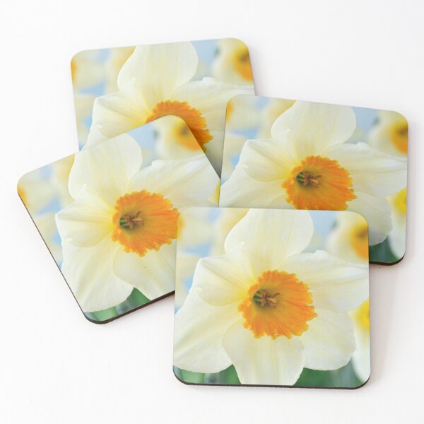 Item preview, Narcissus  'Sempre Avanti'   Div. 2  Large-cupped  Daffodil  designed and sold by Chris Burrows.